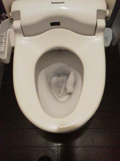 トイレットペーパーが流れていないトイレ