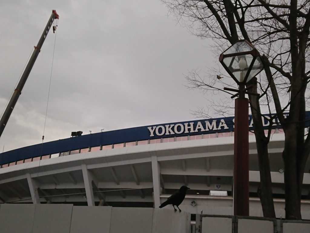 横浜スタジアムの画像