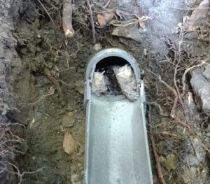 排水管の詰まり